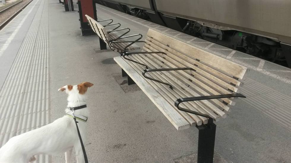 13227401_10154164906503784_4534122196222696697_o